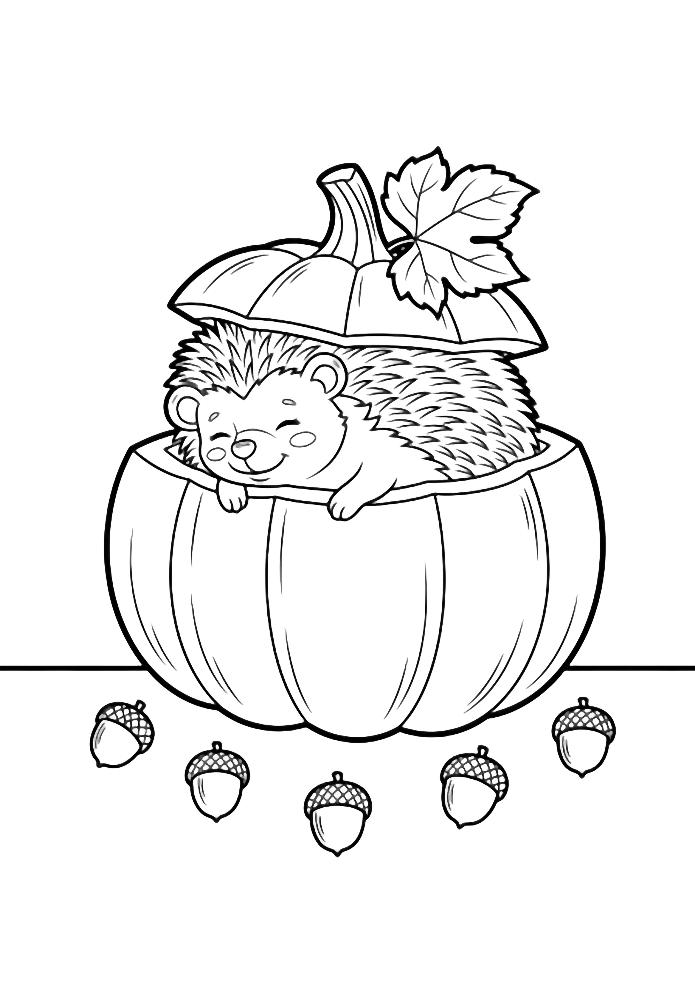A sleeping hedgehog smiles inside a carved pumpkin; five acorns and a leaf rest on the ground around it. kleurplaat