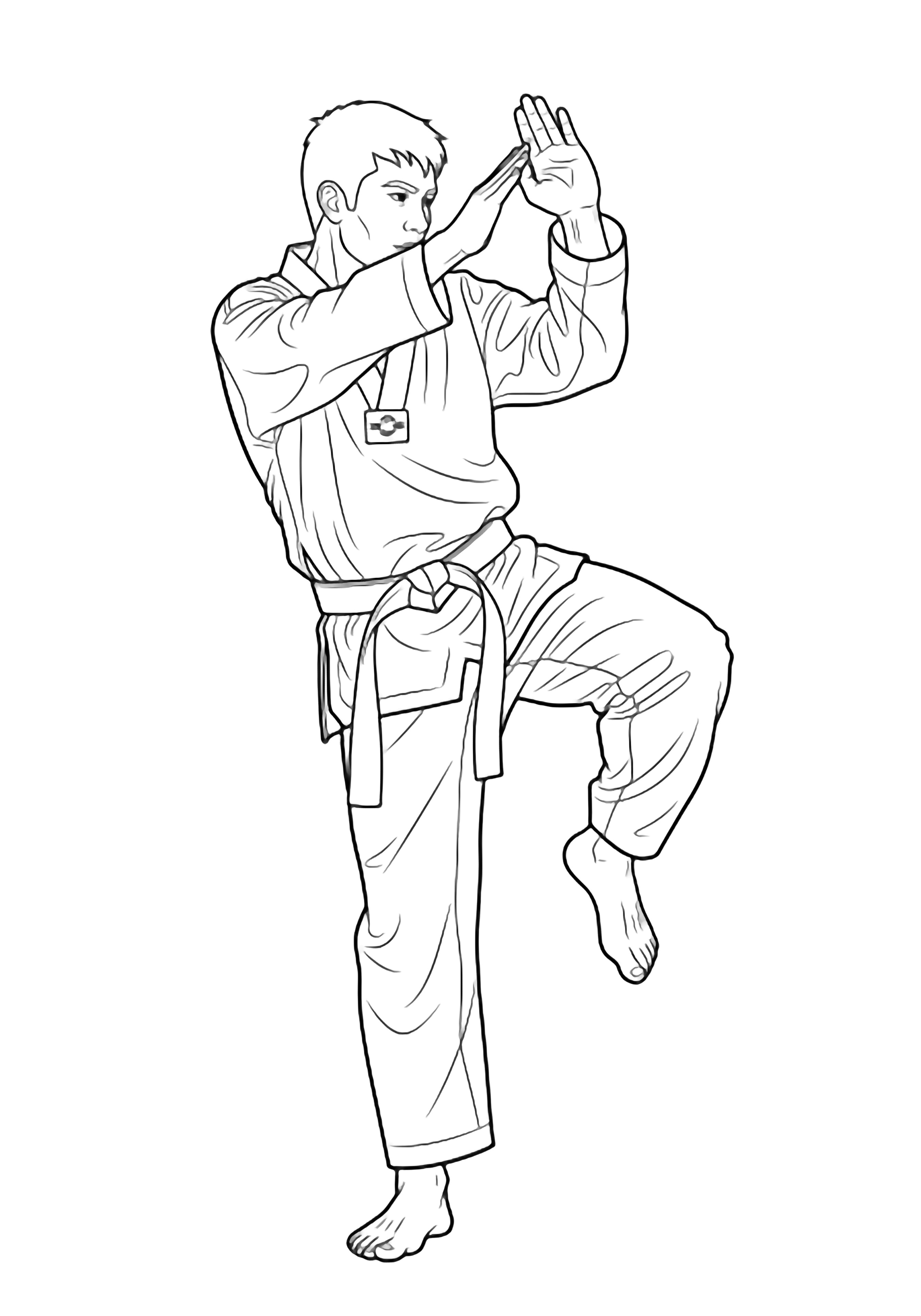 Taekwondo athlete pivots, arms blocking, one leg lifted mid-kick, wearing crisp dobok with belt. kleurplaat