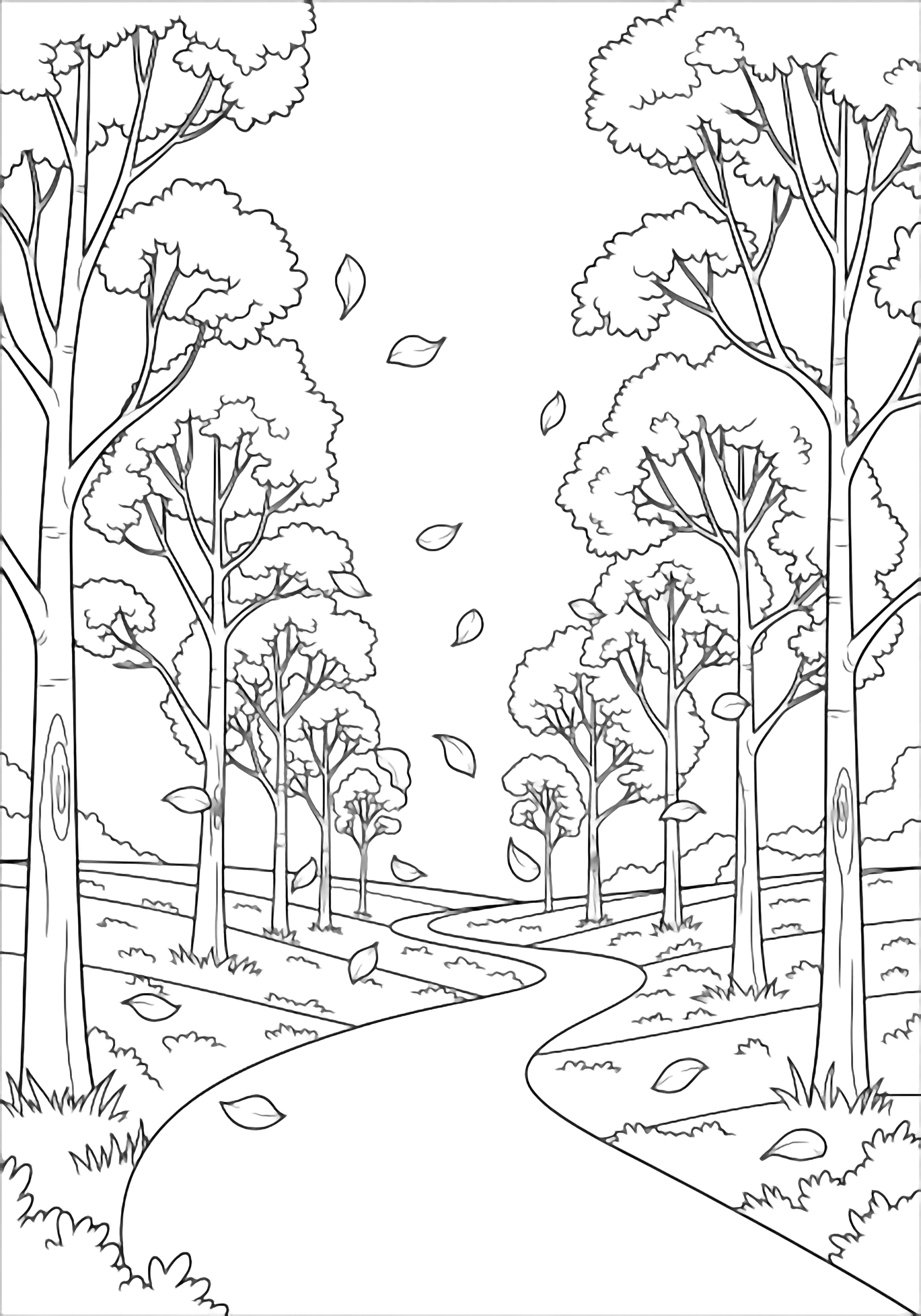 A winding path between tall slender trees with swirling leaves drifting across the ground. kleurplaat