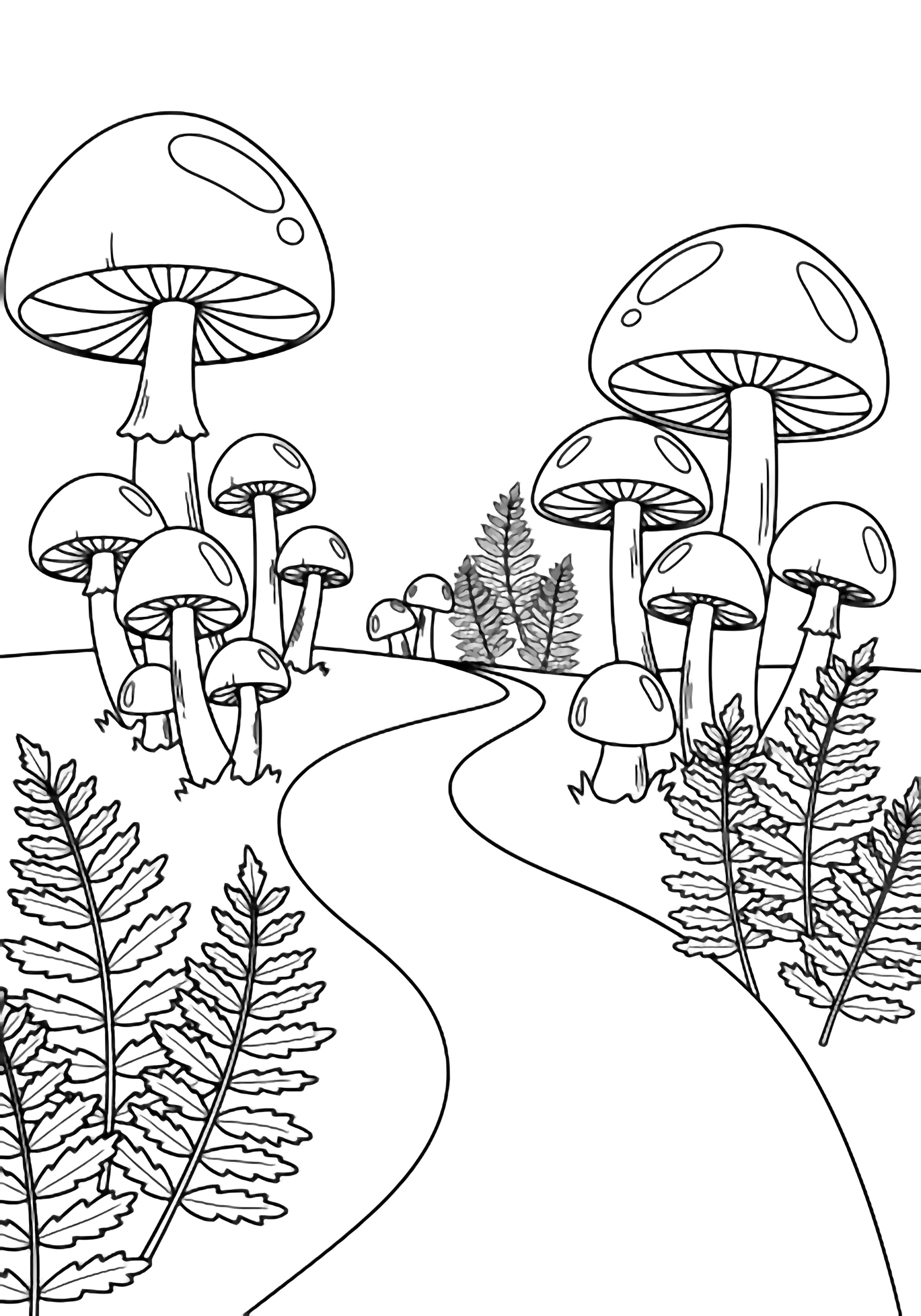 A winding forest path meanders between towering mushrooms with round caps and clusters of delicate fern fronds. kleurplaat