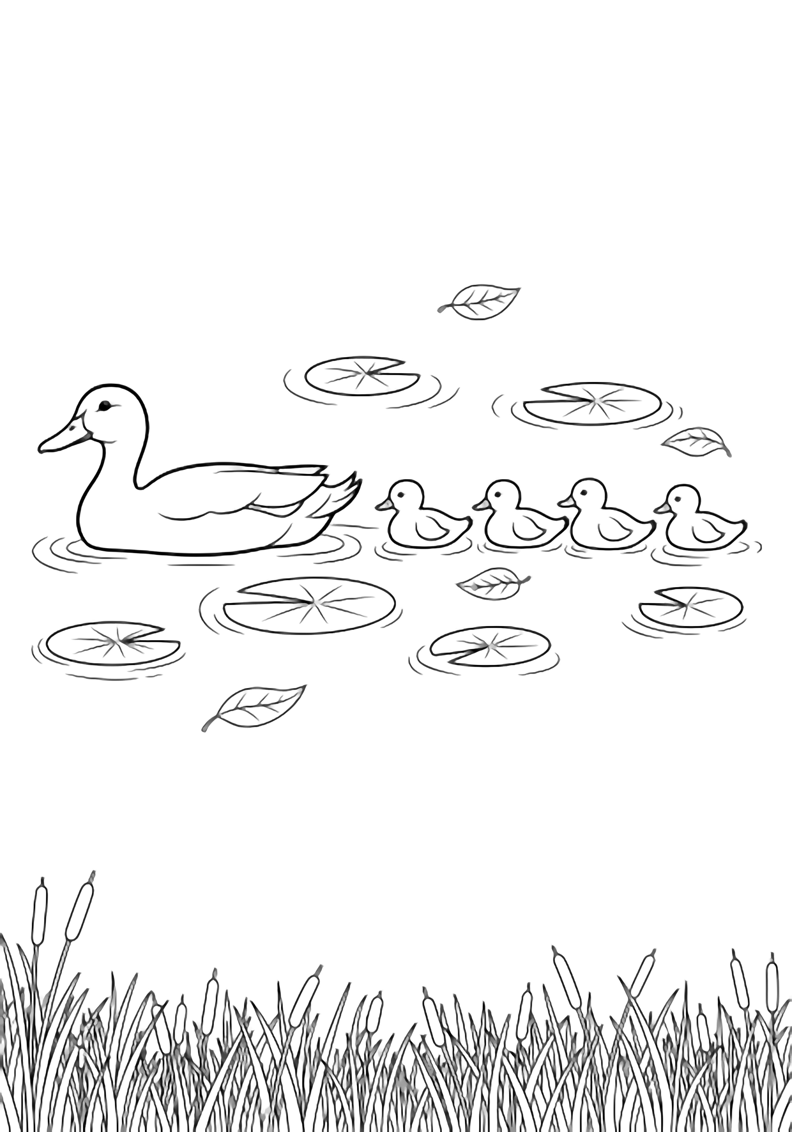 Mother duck gliding across a pond with four ducklings, lily pads, drifting leaves, and a line of reeds at the edge. kleurplaat