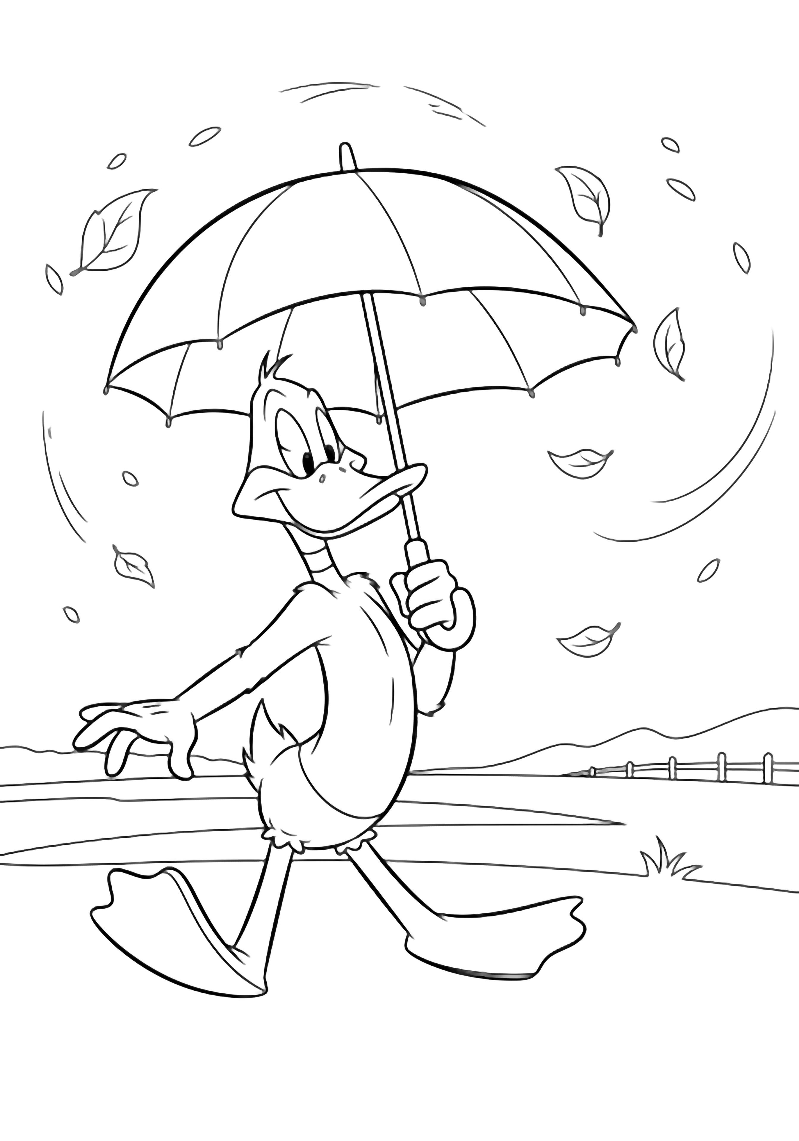 Daffy Duck strolls with an umbrella overhead while leaves swirl around him; simple ground, distant fence, open space. kleurplaat
