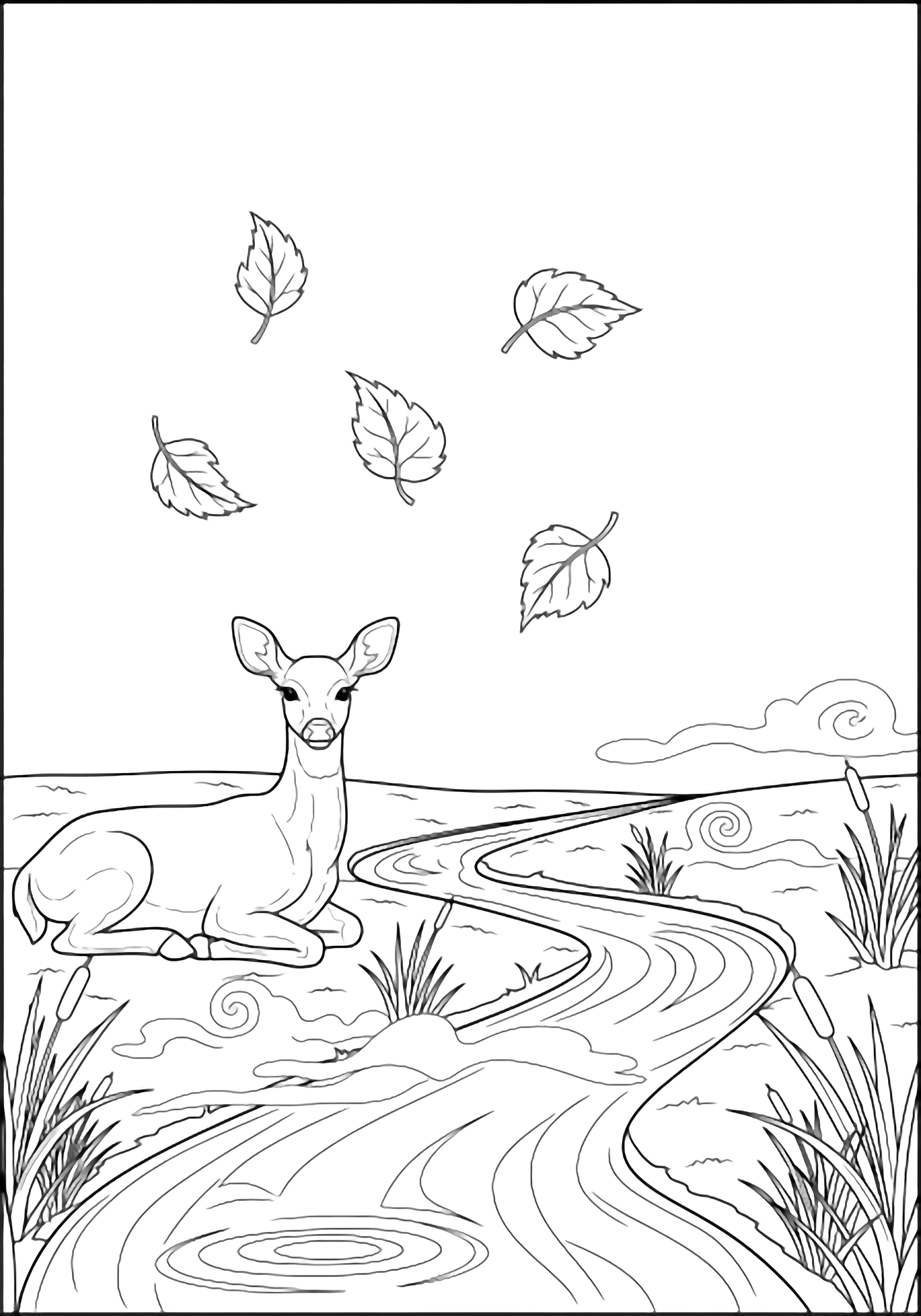 A gentle deer sits alert beside a winding stream, drifting mist curls reeds, five falling leaves float amid blank forest ground and sky. kleurplaat