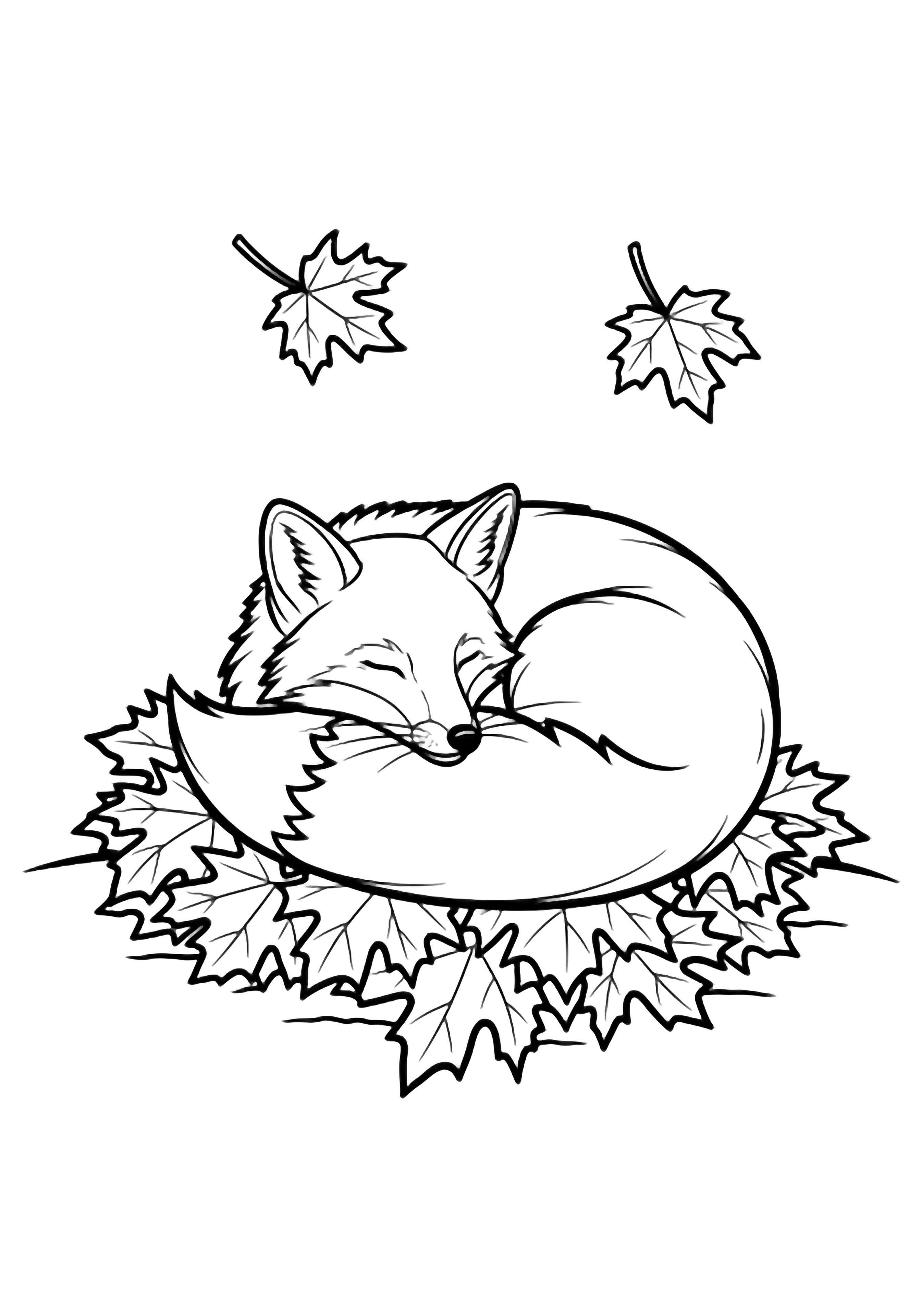 A sleeping fox curled nose-to-tail on a pile of large maple leaves, with two drifting leaves above a simple ground line. kleurplaat