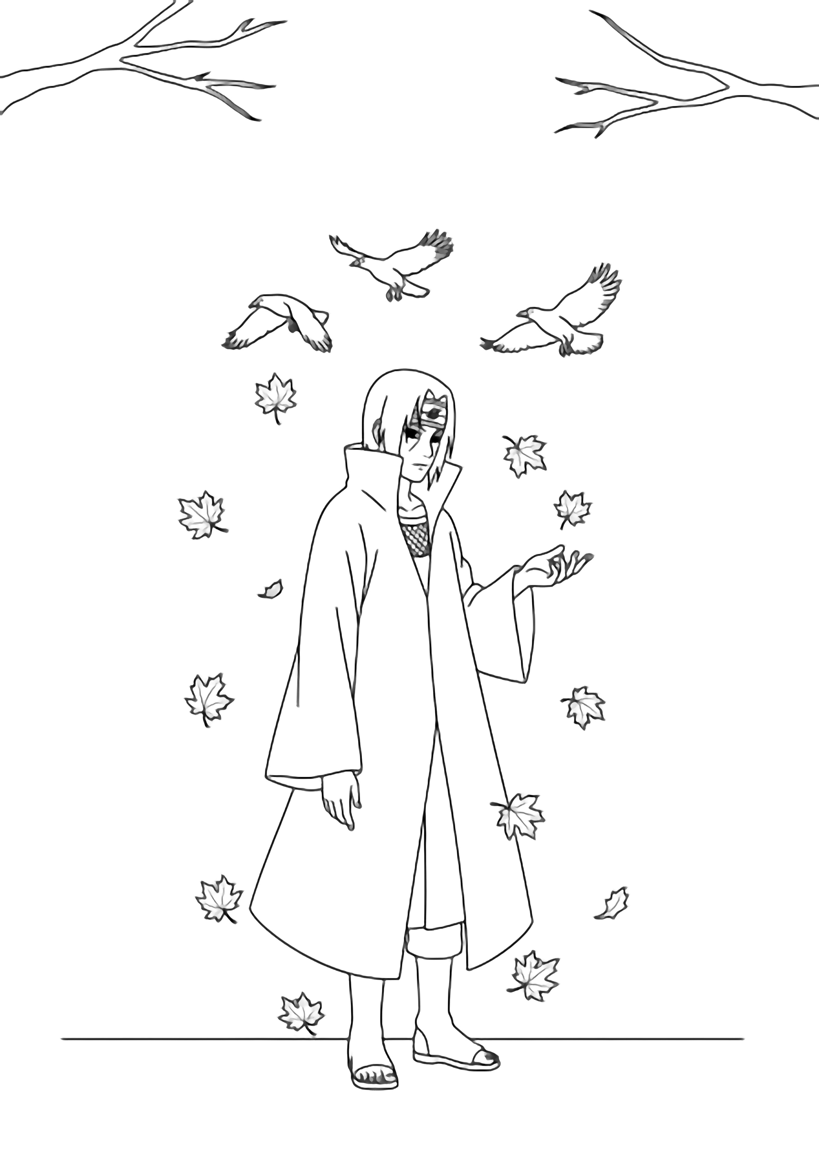Itachi in a long coat stands serenely amid drifting maple leaves, three crows gliding behind, a light branch above and simple ground line below. kleurplaat