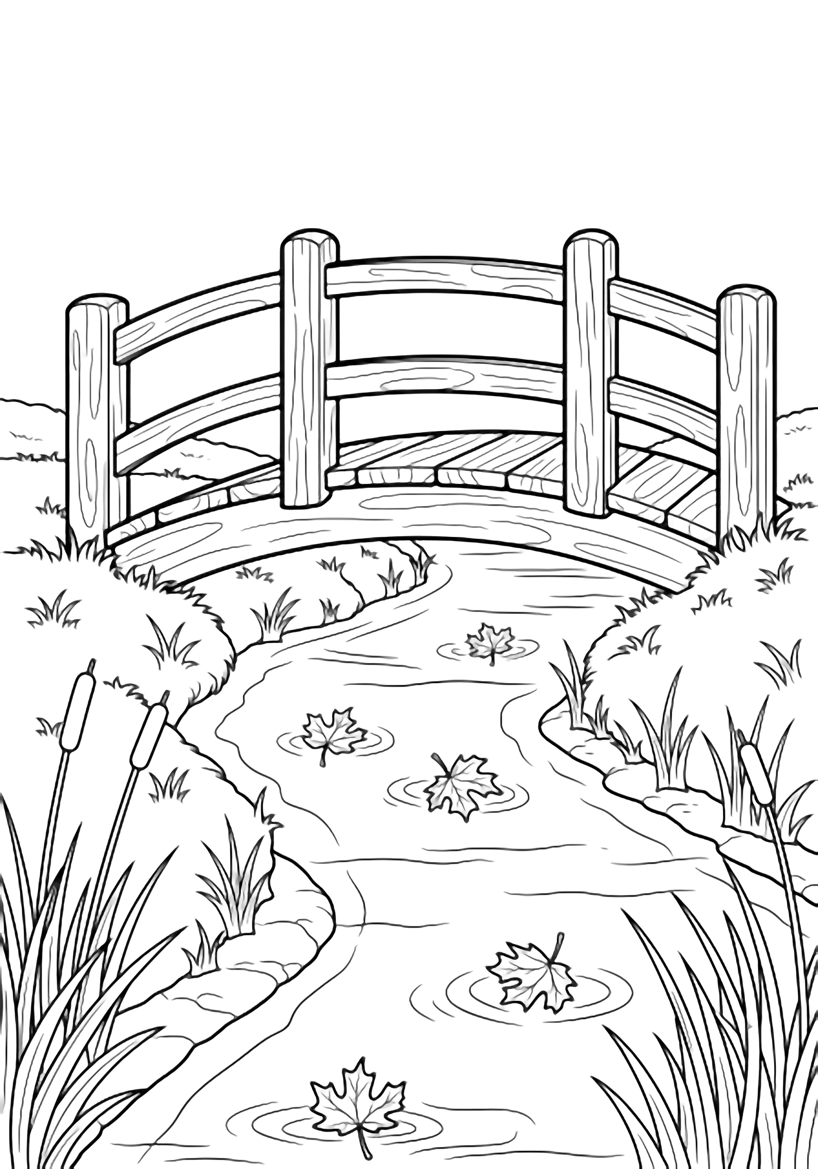 A small arched wooden bridge crosses a calm creek; maple leaves float on the water, with grass and reeds along the banks. kleurplaat