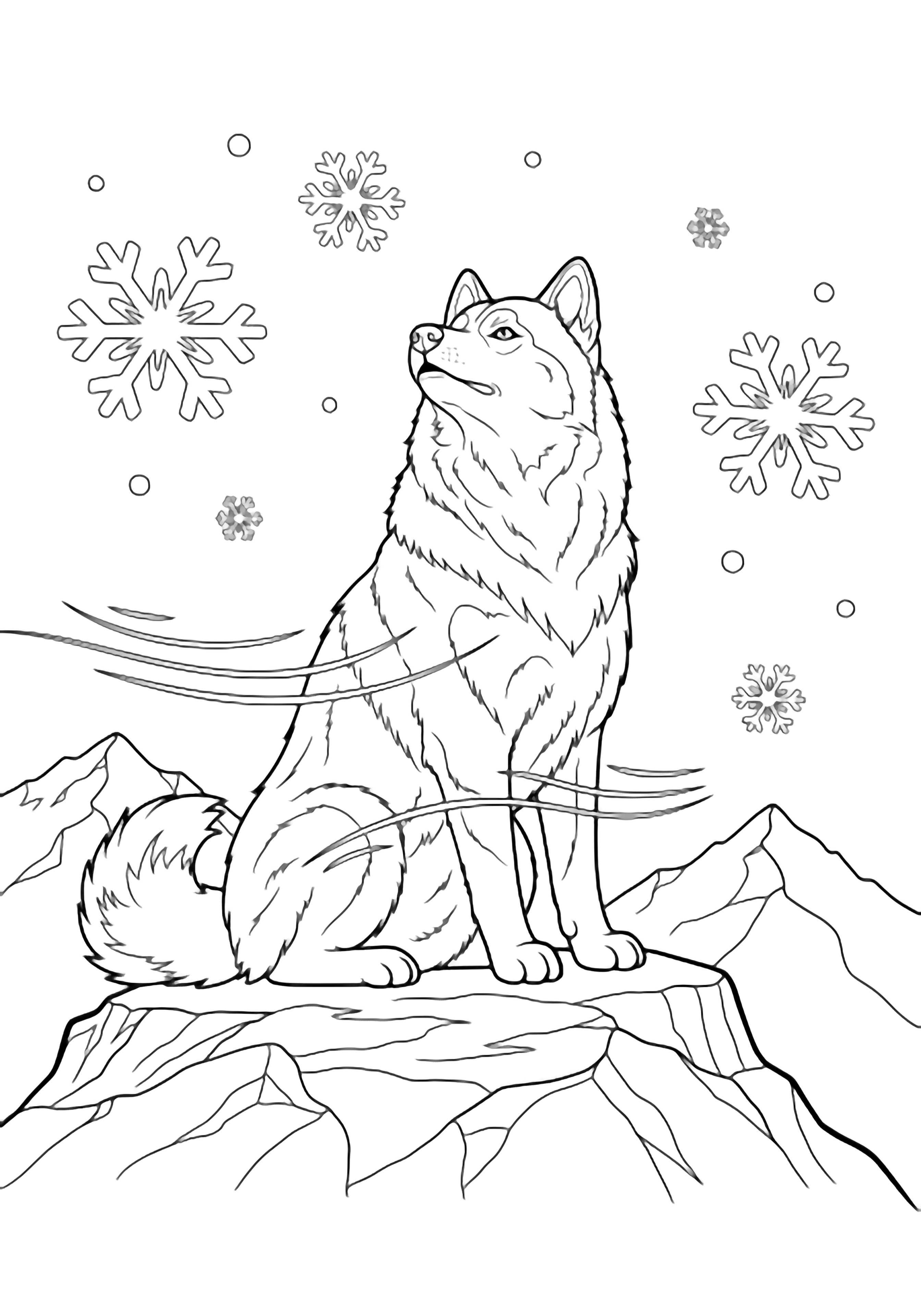 Fluffy husky sits upright on a rocky peak, muzzle lifted as giant snowflakes drift around her; mountain ridges behind, wind ruffling her fur. kleurplaat