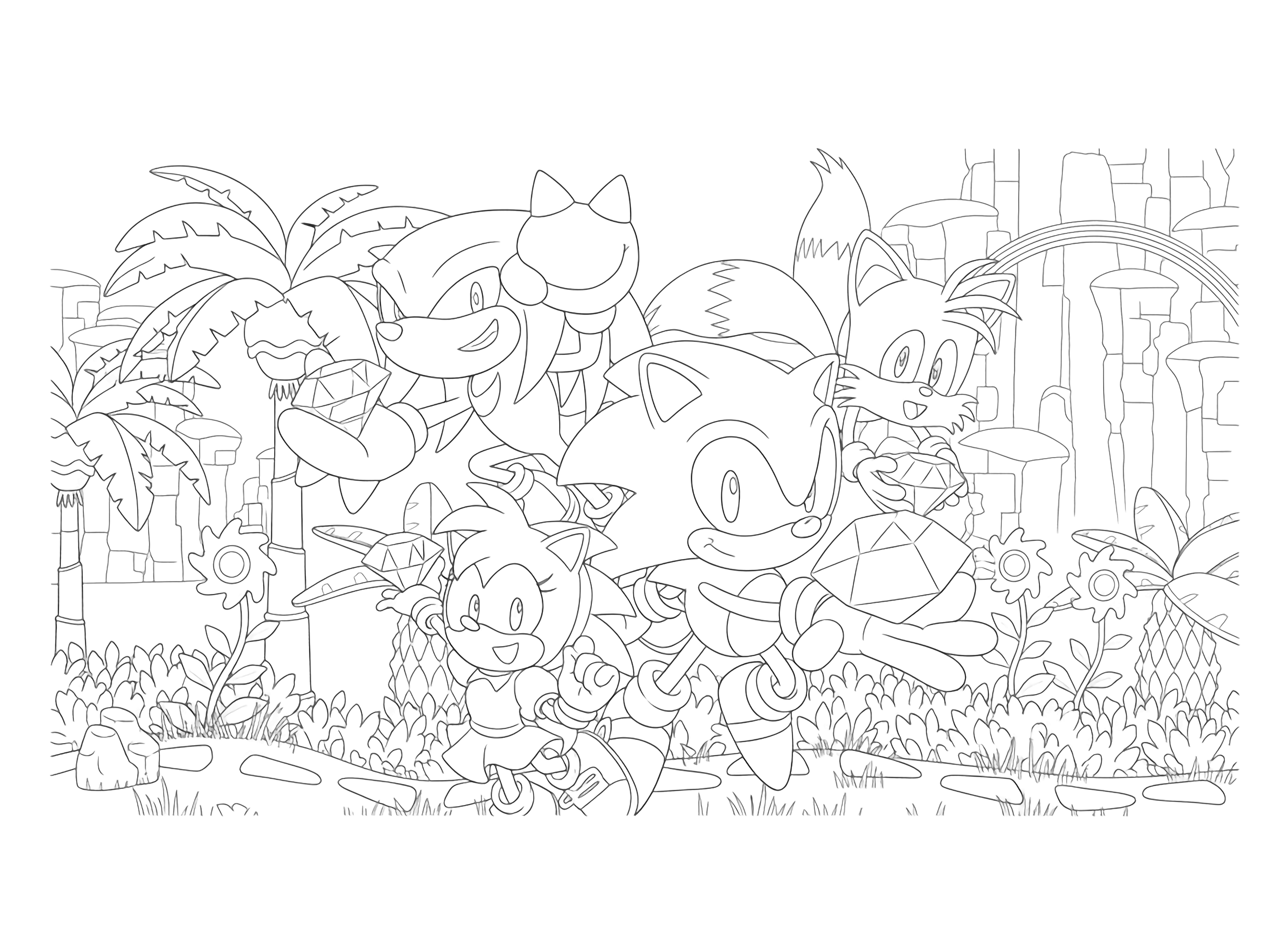 A page featuring Sonic, Tails, Knuckles, and Amy Rose, holding colorful Chaos Emeralds, depicted mid air against a vibrant landscape with palm trees, waterfalls, and a rainbow. kleurplaat